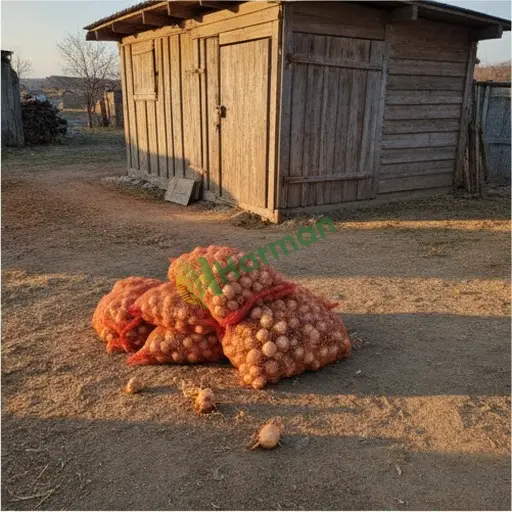 Antalya Konyaaltı'nda soğan satılık