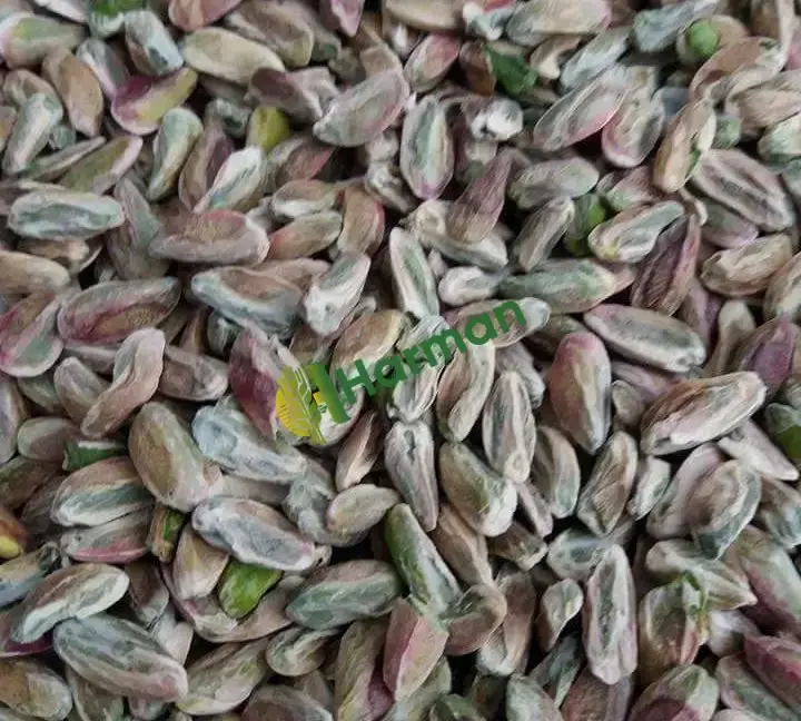 Antep fıstığı boz iç fıstık