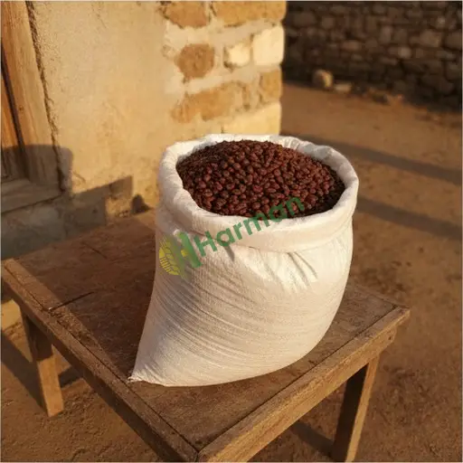 Elazığ Arıcak Arabica kahve çekirdeği alınır