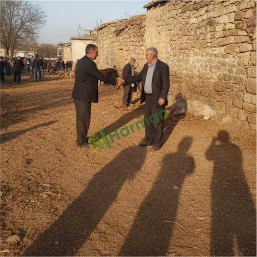 Aydın Bozdoğan aracılık hizmeti alınır