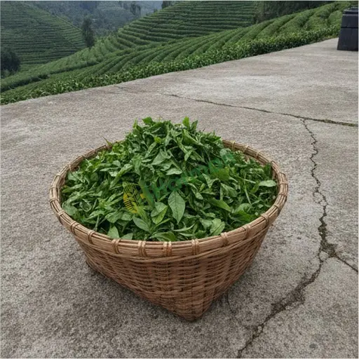 Artvin Yusufeli Rize çayı satılık