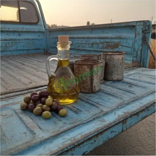 Artvin Merkez zeytinyağı nakit alınır