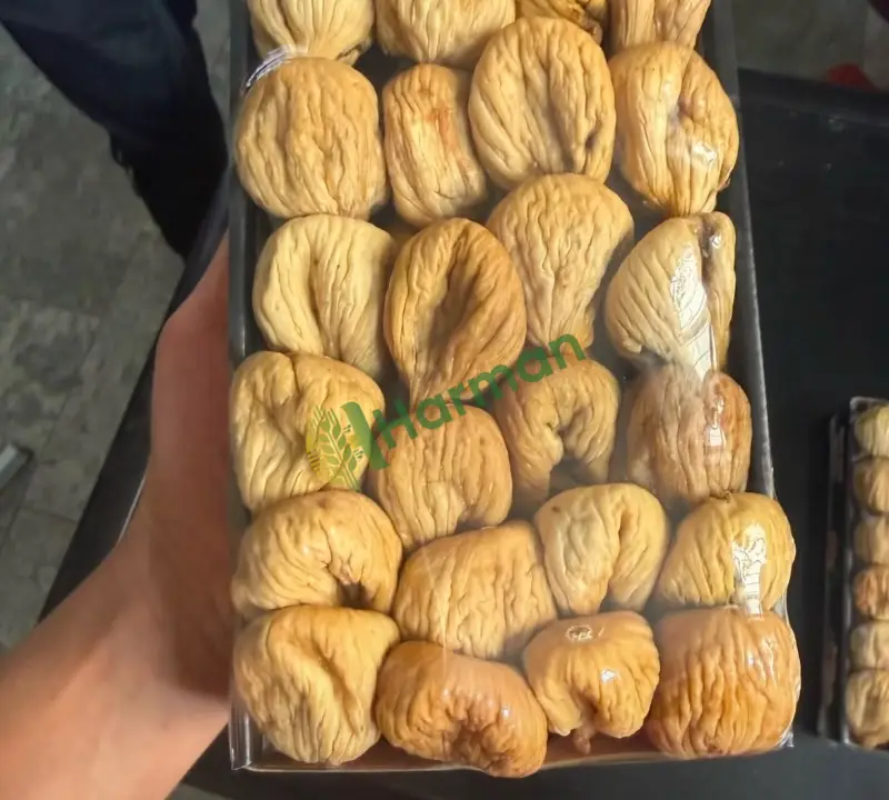 Aydın dağ inciri