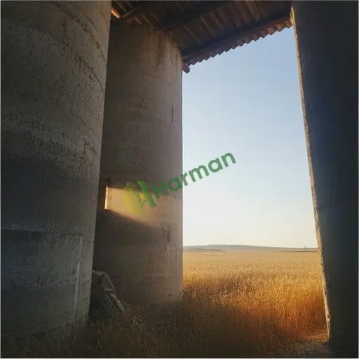 Aydın Kuyucak'ta beton tahıl silosu satıyorum