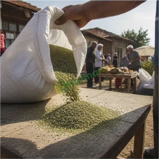 Edirne Meriç'te ayrık otu tohumu alınır