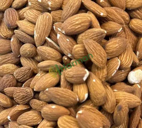 Badem içi