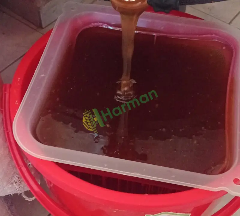Bahar balı (haziran sonu sağım ve ağustos sonu sağım)