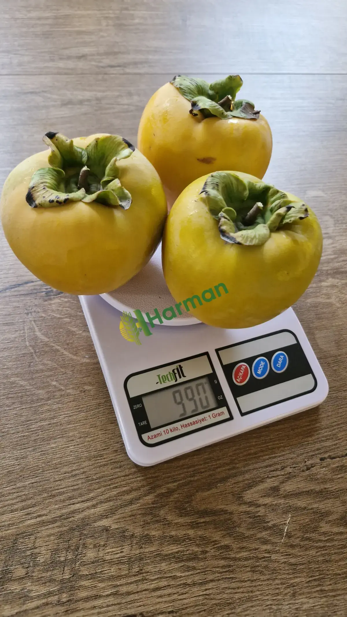Balıkesir Gönen 3 Ton Civarı Duble Hurma