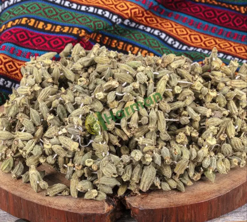 Bamya hal fiyatı