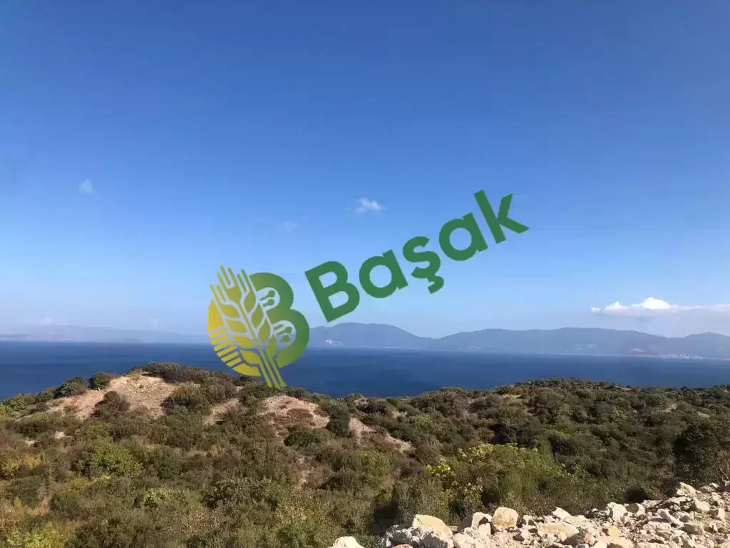 Bandırma Şirinçavuş Deniz Manzaralı Yatırımlık Tarla