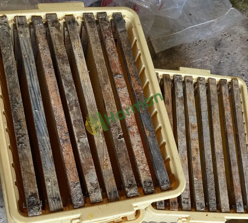 Bartın çakraz üretimi analiz raporlu kestane balı- üreticiden toptan ve kg satış