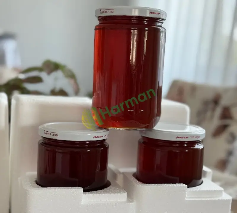 Batıkaradeniz Bölgesi Kestane Balı