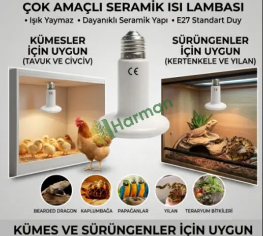 Beyaz Sürüngen Teraryum Isı Lambası
