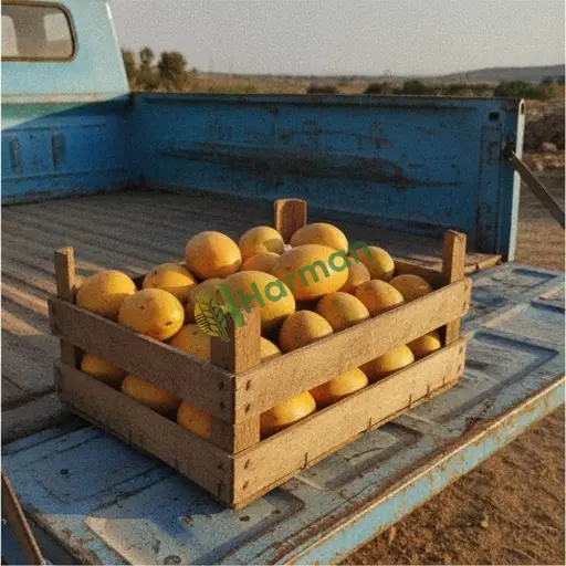 Bilecik İnhisar'da mango satıyorum