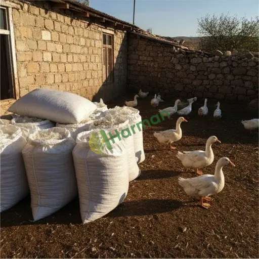 Ördek tüyü satılık - Bilecik Osmaneli