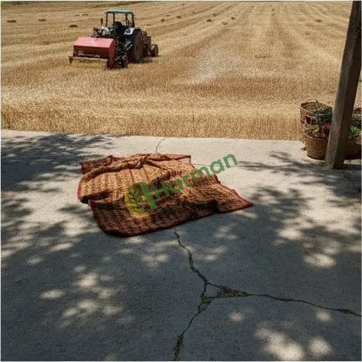 Bingöl Merkez'de balya yapım işi yaptırılacak