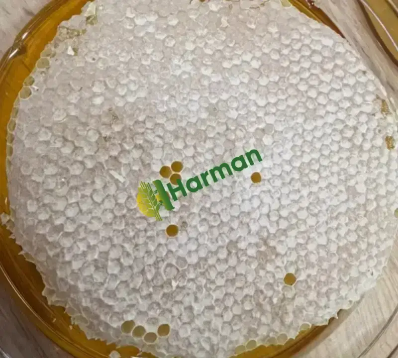 Bingöl çiçek balı