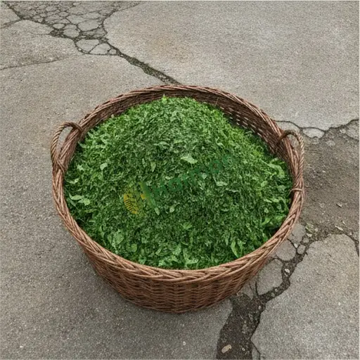 Bingöl Merkez'de Rize çayı alanı