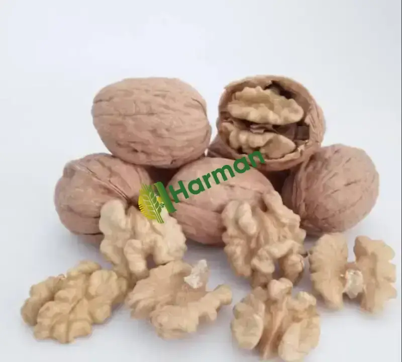 Birinci Kalite