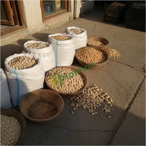 Bitlis Tatvan'da kaju satılık