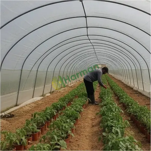 Bitlis Hizan sera elemanı satılık