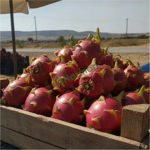 Bolu Kıbrıscık pitaya alıyorum