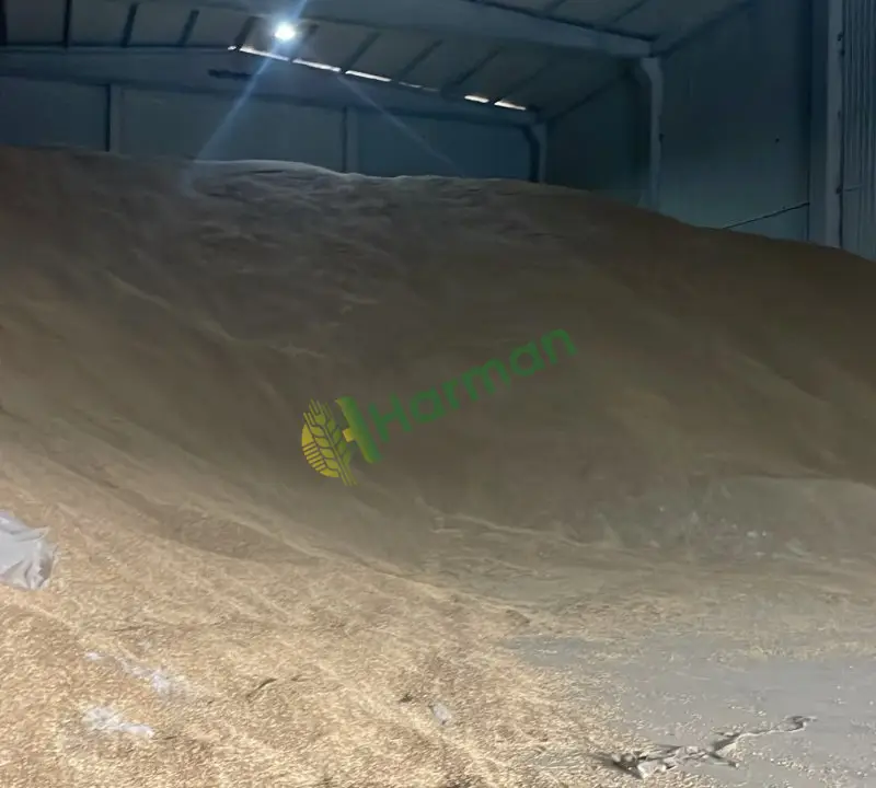 Buğday 11.5 Protein