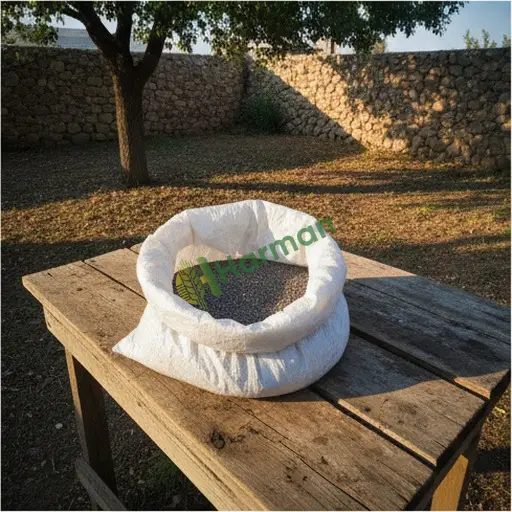 Burdur Çeltikçi'de fesleğen tohumu alınır