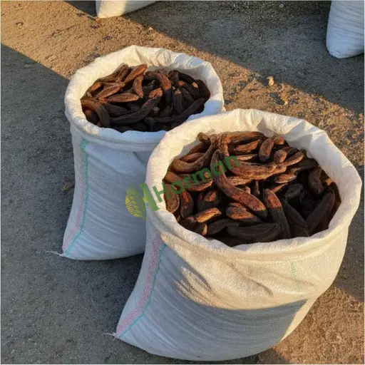 Burdur Merkez keçiboynuzu uygun fiyata satılık