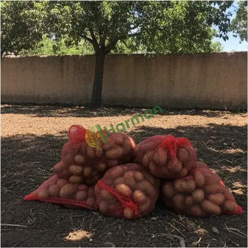 Burdur Altınyayla'da patates satılık