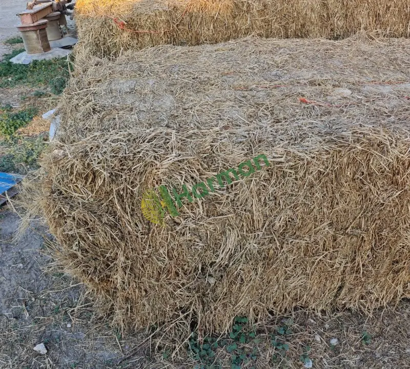 Büyük 6 İpli Yonca Balyası - 2