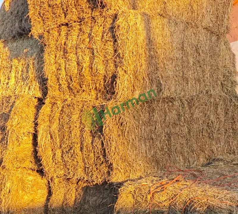 Büyük 6 İpli Yonca Balyası - 3
