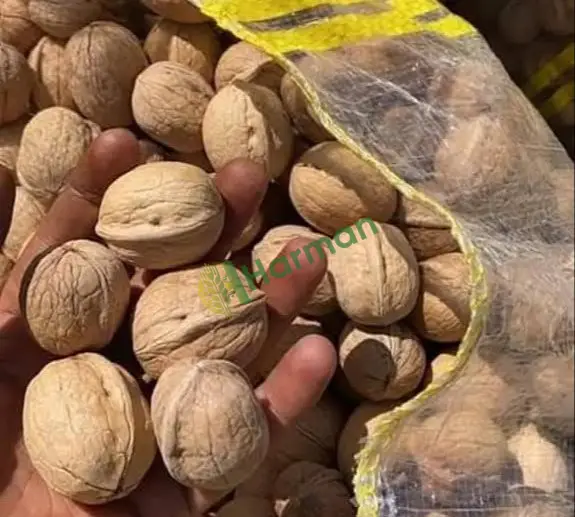 Çağlayancerit Kahramanmaraş