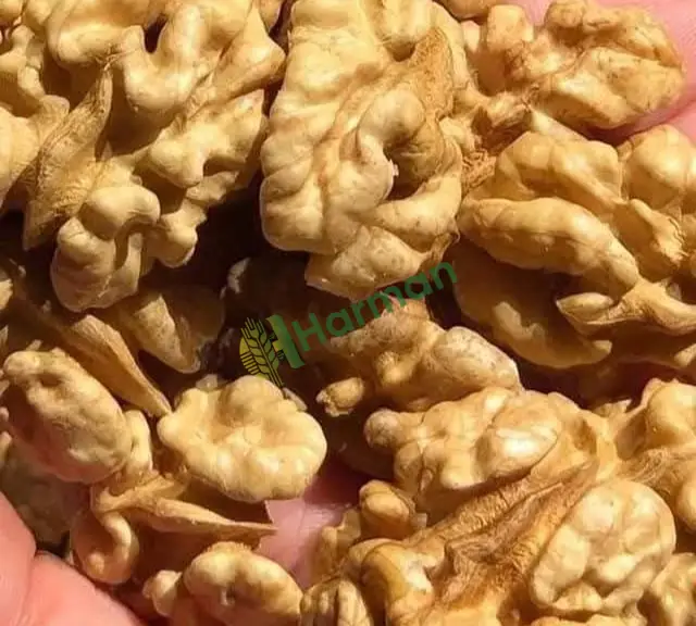Çağlayancerit Kahramanmaraş