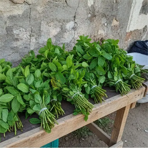 Nane Aranan / Çanakkale Ayvacık