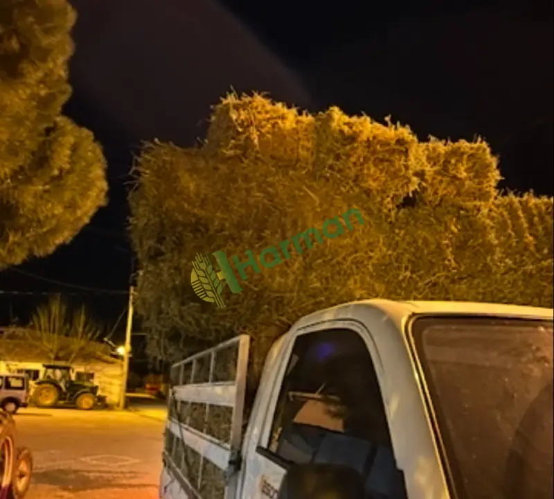 Çanakkale satılık balya