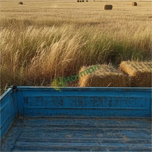 Çanakkale Bayramiç'te yemlik switch grass satılık