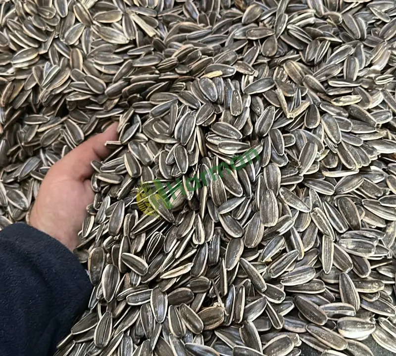 Çerezlik çekirdek