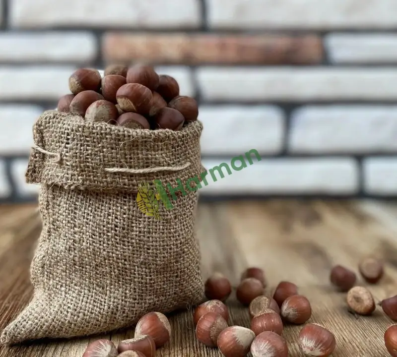 Çerezlik giresun kalite