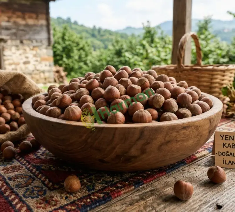 Çerezlik giresun kalite