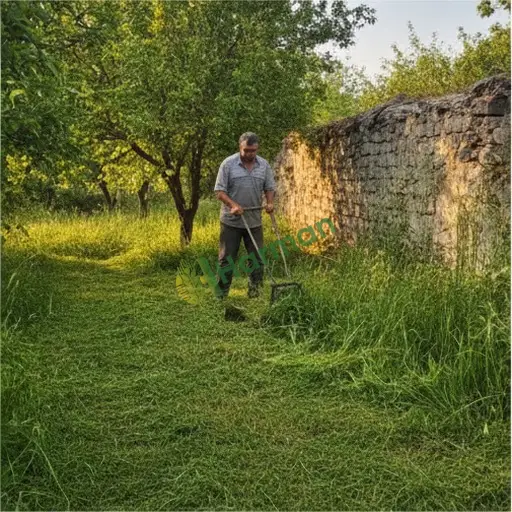 Ordu Akkuş'ta çim biçme işi aranıyor