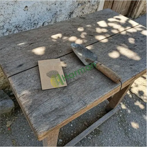 Siirt Aranan Çin Lahanası Tohumu (Tillo)