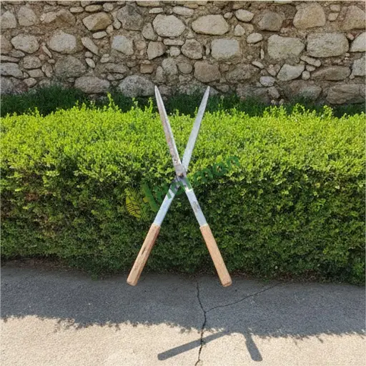 Aydın Kuşadası'nda Çit Budama Makası Aranıyor