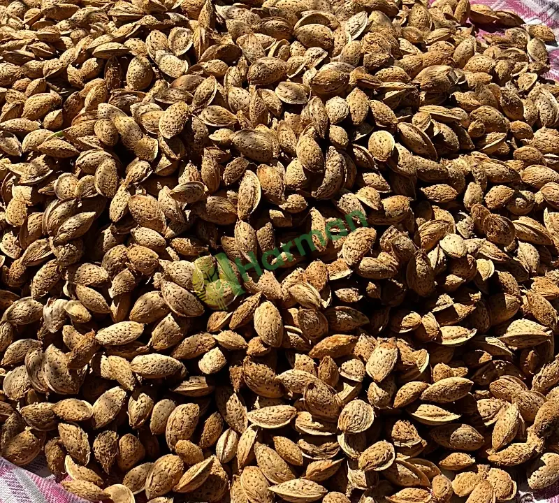 Çıtır badem
