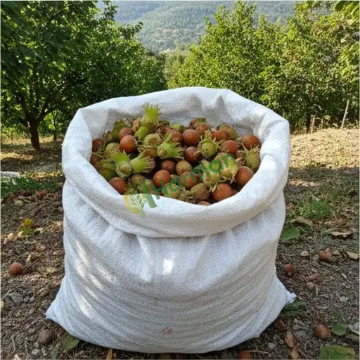 Aranan Fındık, 1307 Kg, Çorum Mecitözü