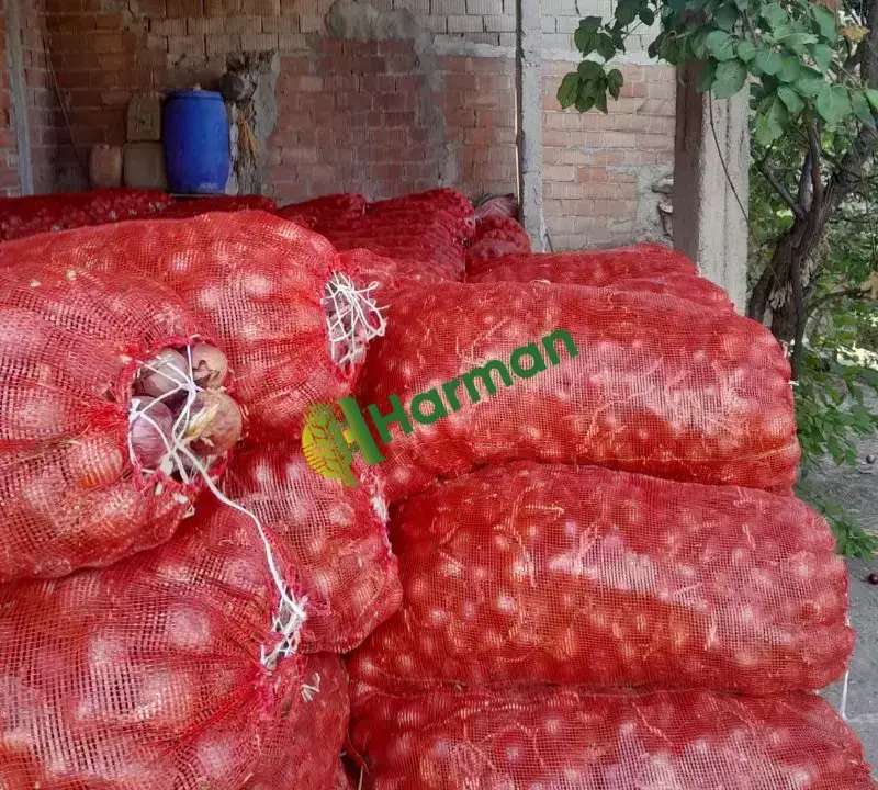Çorum Mecitözü Çayköy'den Hakiki  Çorum Moru Soğan