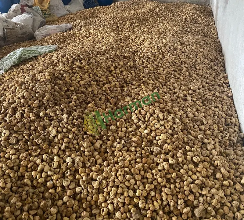 Dağ inciri toptan