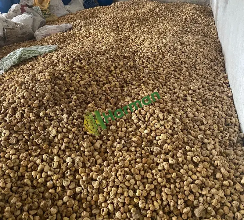 Dağ inciri toptan