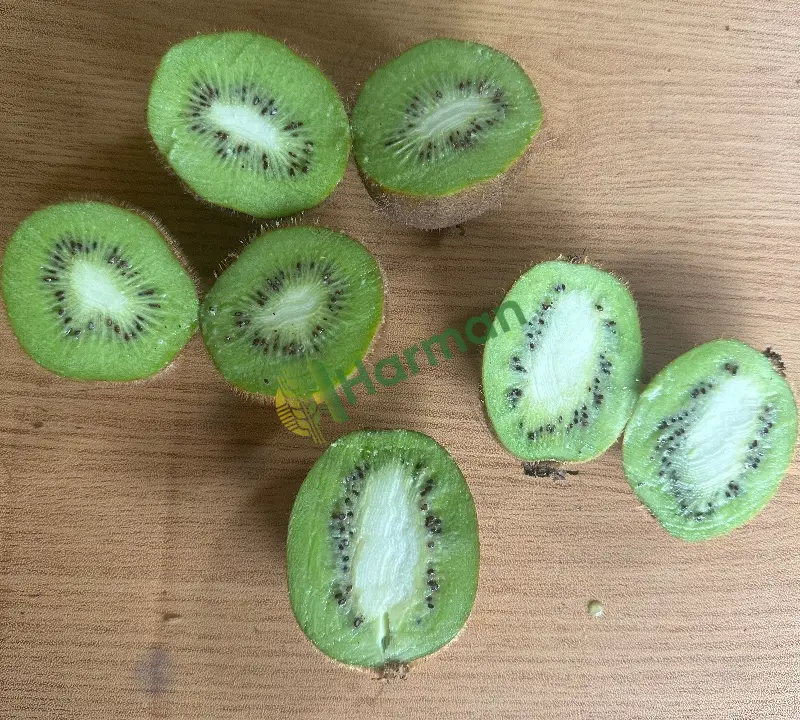Dalında kivi