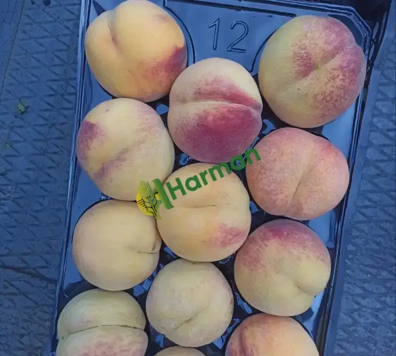Dalından şeftali